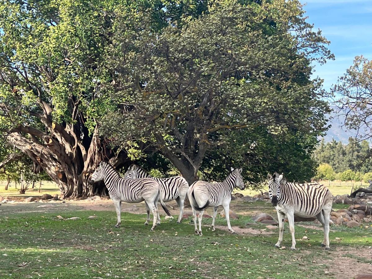 Welbedacht Game & Nature Reserve Tulbagh Exterior foto